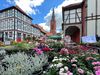 Marktstand mit Blumen und im Hintergrund die Nienburger Kirche und ein Fachwerkhaus