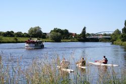Drei Stand-up-Paddeler auf dem Wasser