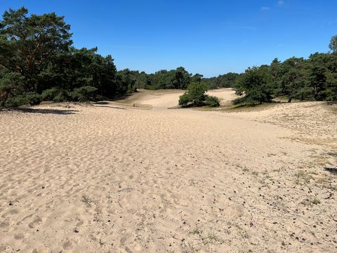 Verdener Dünen
