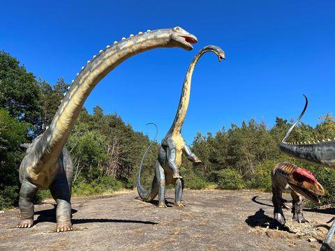 Dinosaurierpark Münchehagen